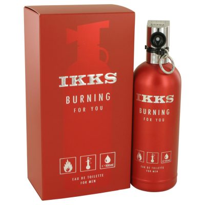 Burning For You by Ikks